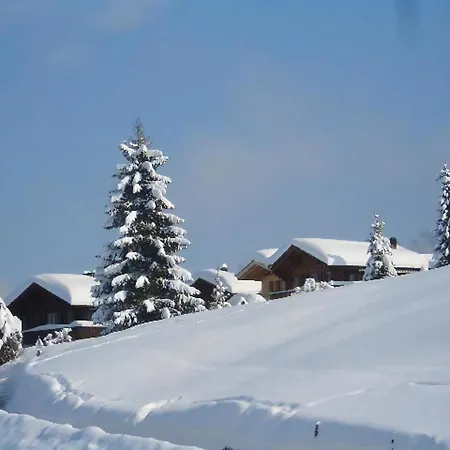 Chalet Tannegg Studio Im Berneroberland Apartmán