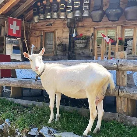 Chalet Tannegg Studio Im Berneroberland *